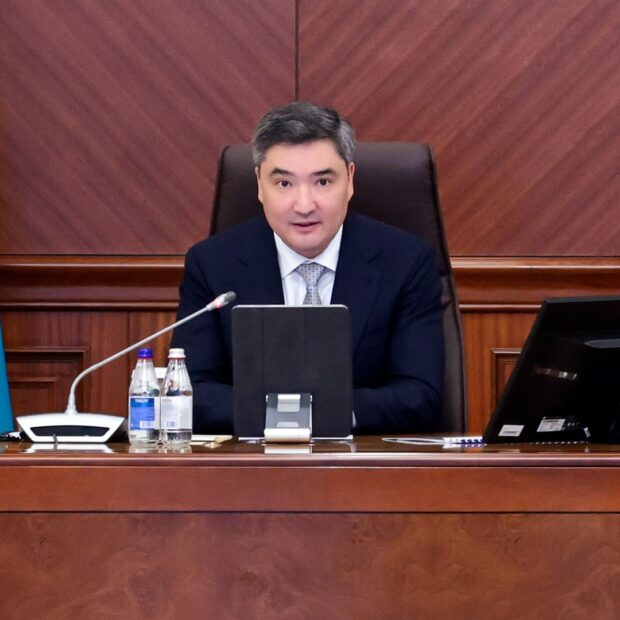 AmCham Engages in Healthcare-Focused Prime Minister’s Council