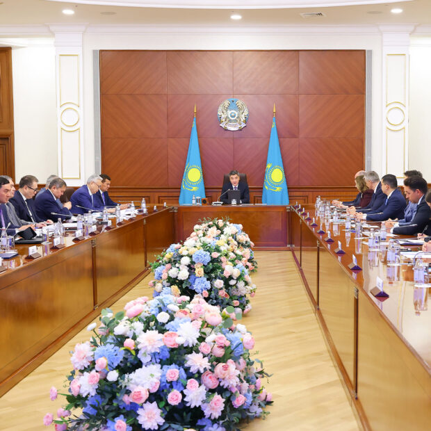 AmCham Raises Digitalization Reform Priorities at the Prime Minister’s Council to Improve the Investment Climate