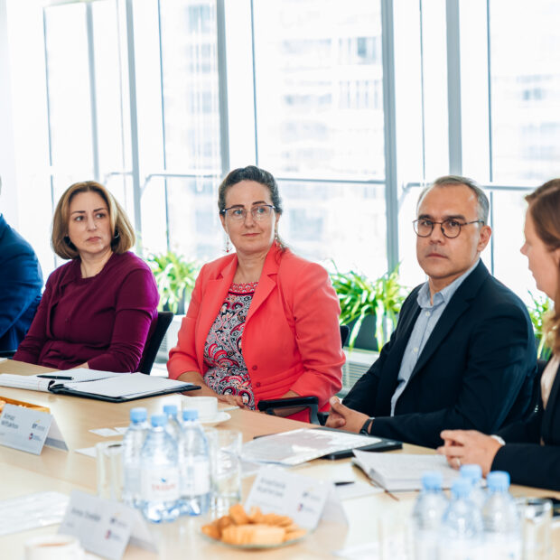 AmCham’s Healthcare Committee Met with U.S. Ambassador Julie Stufft