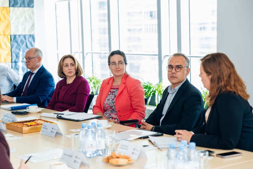 AmCham’s Healthcare Committee Met with U.S. Ambassador Julie Stufft